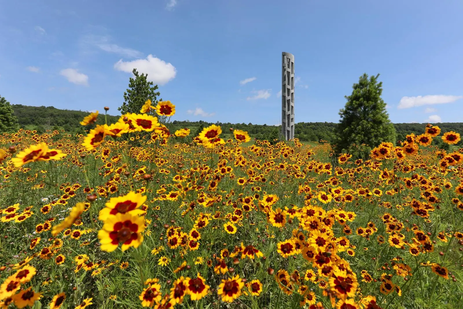 Wildflowers in front of the 93-foot Tower of Voices, which holds a wind chime for each of the forty