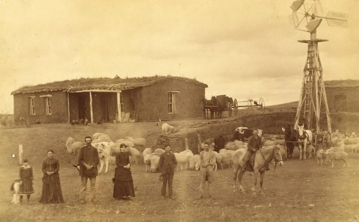 William Moore and family with their sheep and windmill near Sargent, Custer County, Nebraska, in 1886.