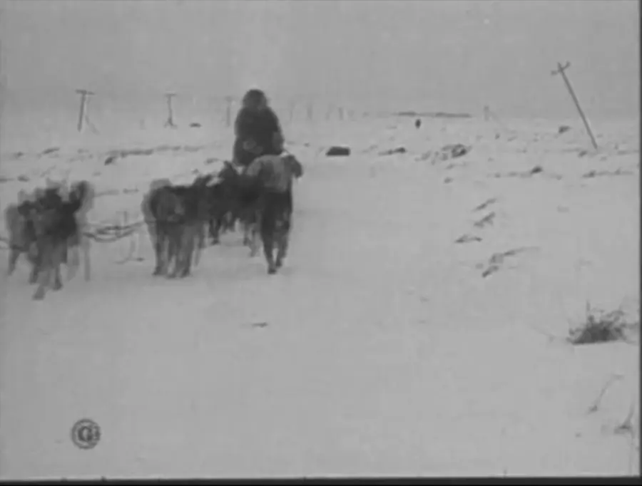 A dog team comes in over the snow outside Nome in the Gaumont newsreel of the serum’s arrival, February 1925.