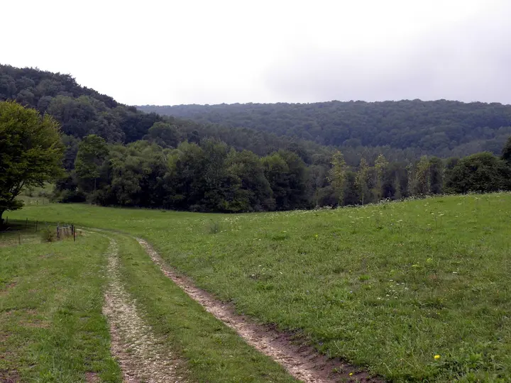 The wooded valley near Châtel-Chéhéry, France, where York and his patrol fought