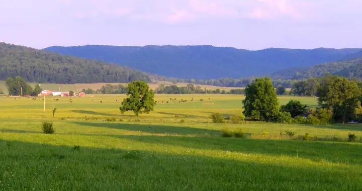 The Valley of the Three Forks of the Wolf River in Fentress County, Tennessee, York's home ground