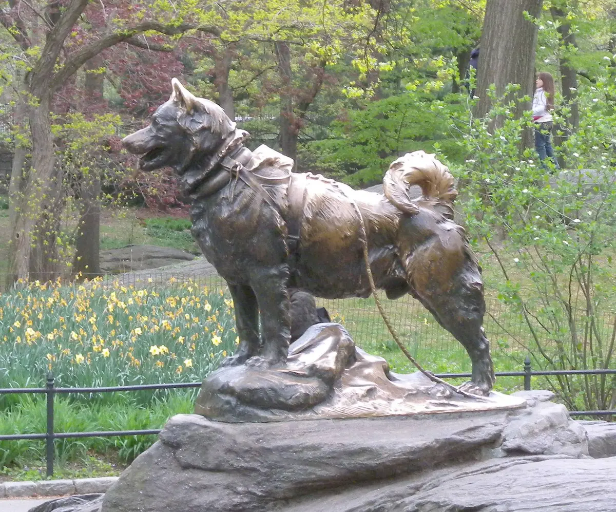 Frederick Roth’s bronze of Balto in Central Park, unveiled on 17 December 1925.